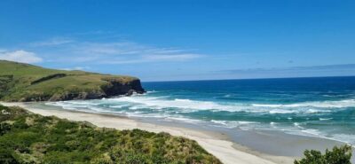 Dunedin City Highlights & Larnach Castle Tour
