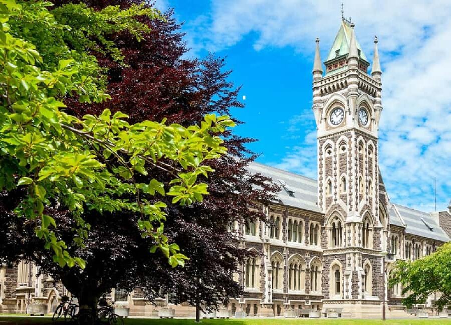 Dunedin City Highlights & Larnach Castle Tour - Along the Otago Peninsula to white sand beaches