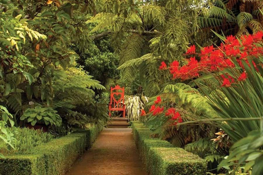Dunedin: Larnach Castle & Gardens Admission Ticket - Entering the 1871 Gothic Revival house