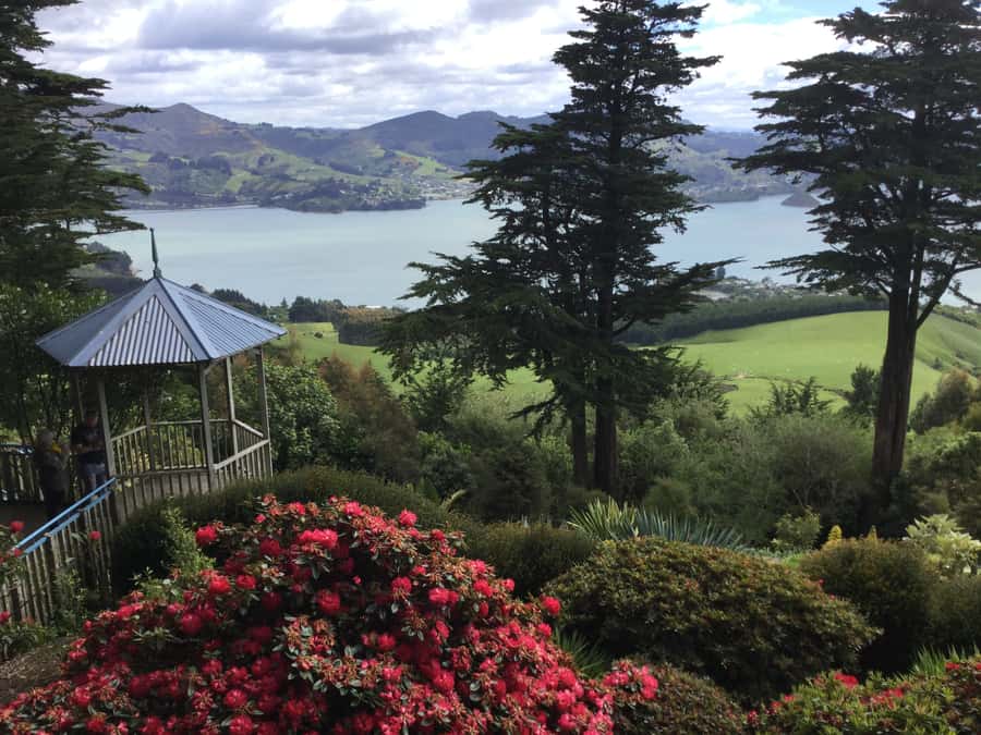 Dunedin: Peninsula with Lanarch Castle gardens & Olveston - Baldwin Street and Dunedin’s first big view