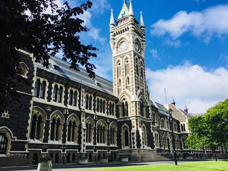 Dunedin: Peninsula with Lanarch Castle gardens & Olveston - A quiet walk through the Upper Botanic Garden