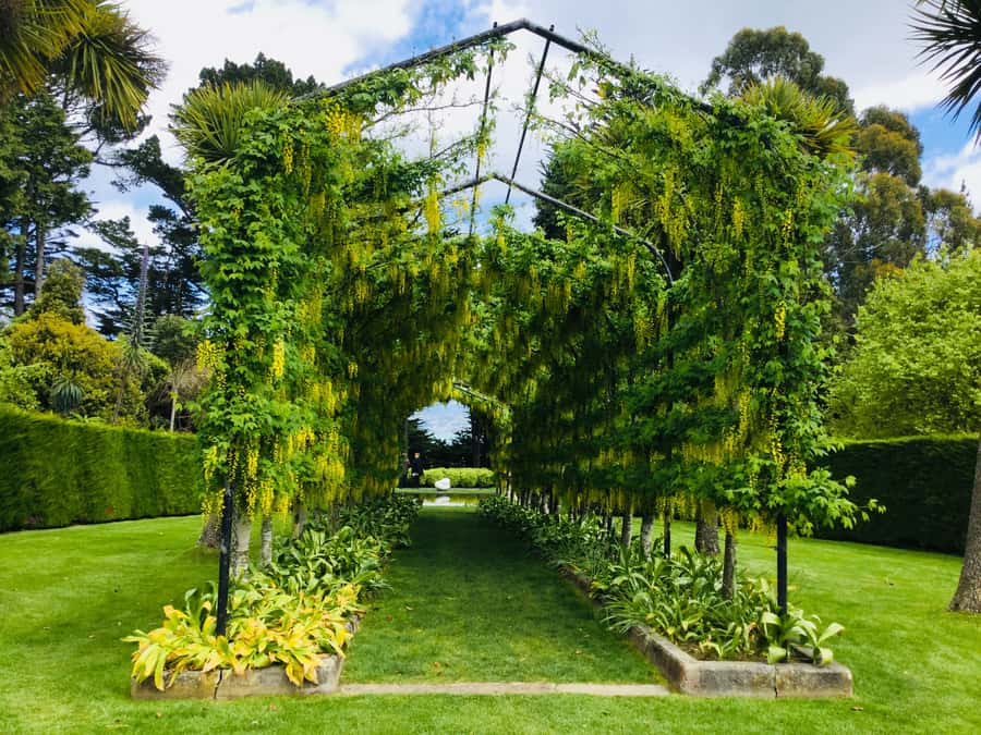 Dunedin: Peninsula with Lanarch Castle gardens & Olveston - Starting at Port Chalmers and reaching Dunedin