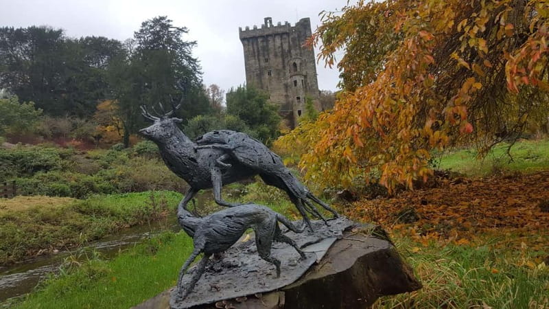 Easy Access - The Blarney Stone & Castle Gardens Tour - Practical ways to get more from the visit