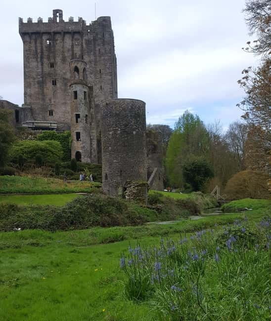 Easy Access - The Blarney Stone & Castle Gardens Tour - Who will enjoy this 2.5-hour experience?