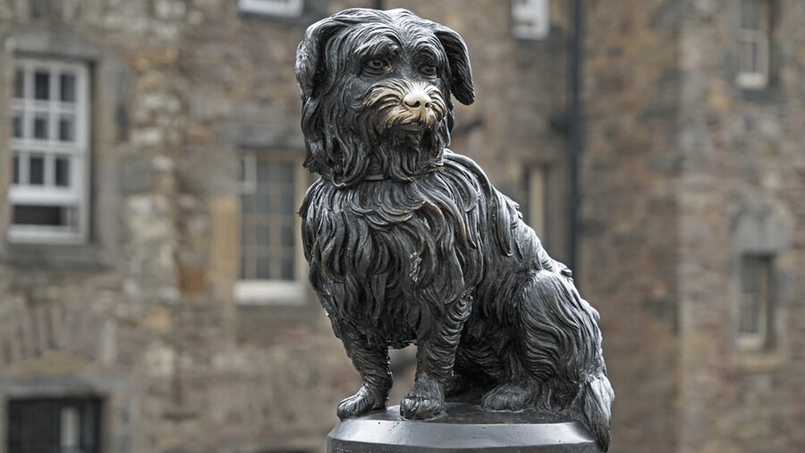 Edinburgh: Edinburgh Castle & Old Town Small Group Tour - Closes, stories, and the city below the main street