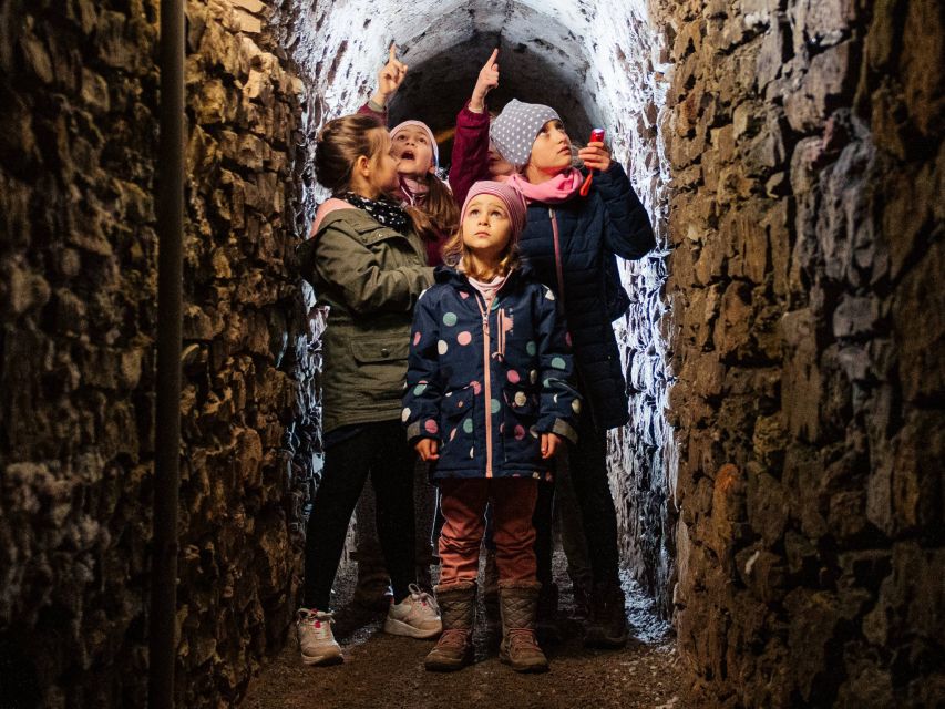 Erfurt: Guided Tour of The Petersberg Citadel - Who should book this tour?