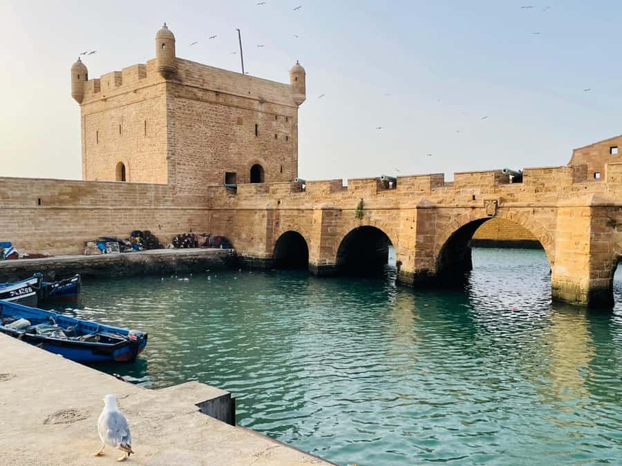 Essaouira: Sqala du Port, Citadel, Fish Market & Medina Tour - Moulay Hassan Square and the Atlantic edge