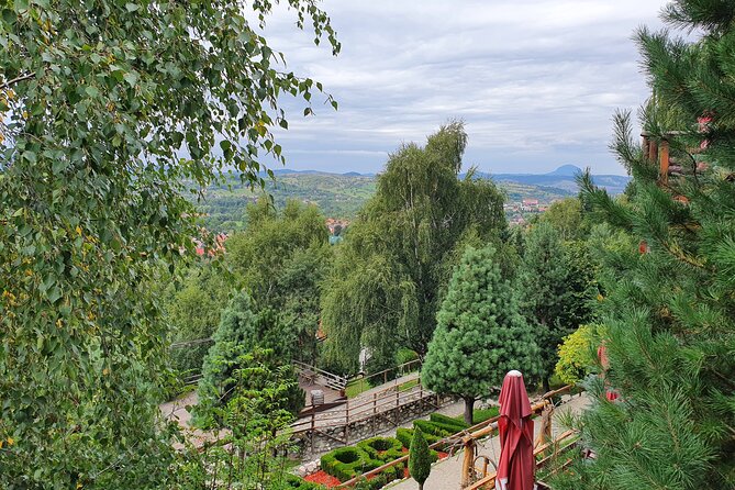 Executive Dracula Day Trip - See Bran & Peles Castle, Brasov from Bucharest - Who should book this experience