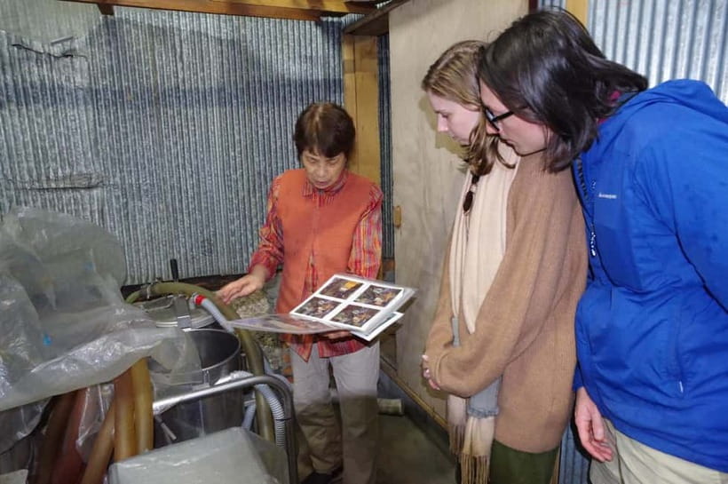 Explore Matsumoto: Castle, Sake & Taste of Local Life - The walking pace, photos, and group experience