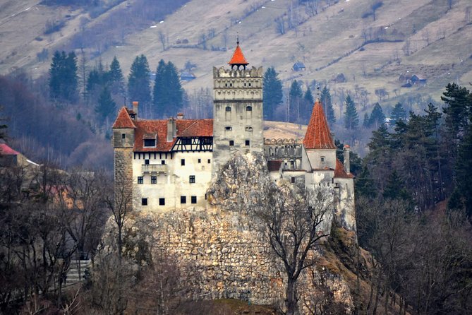 Explore Transylvania: Dracula, Peles Castle & Brasov Private Tour - Bran Castle and the Dracula connection