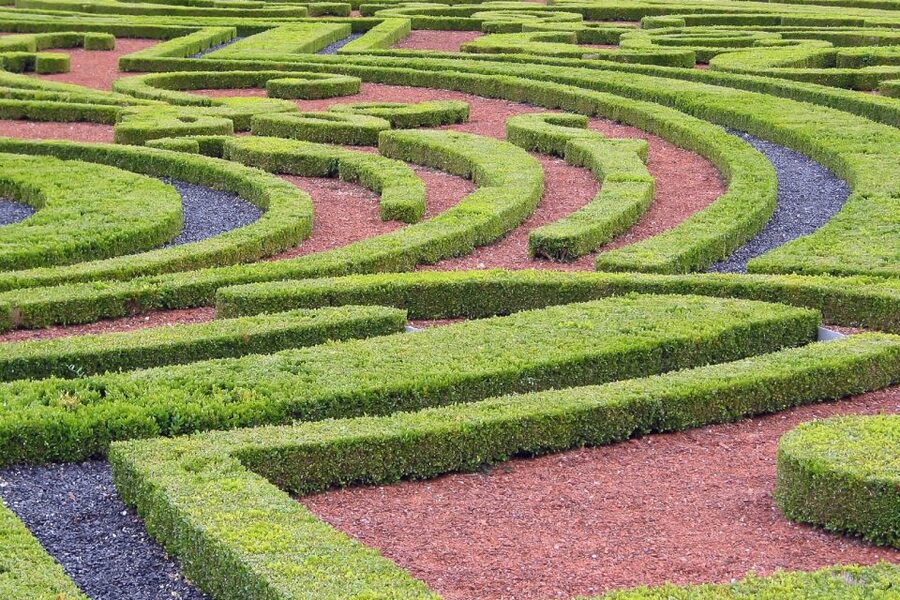 Fontainebleau & Vaux-le-Vicomte Châteaux Day Tour from Paris - The walking, equipment, and access details