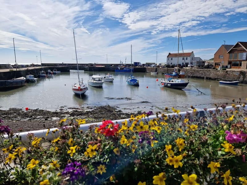 From Aberdeen: Guided Day Trip, Coast & Castle Visit - Key points to know before booking