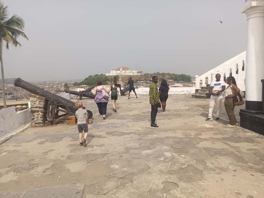 From Accra: Cape Coast and Elmina Castles Day Trip - Who should book this experience?