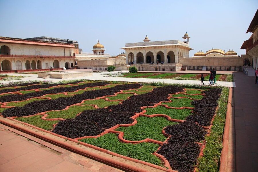 From Agra: Half Day Sunrise Tour of Taj Mahal with Agra Fort - Who should book this sunrise tour