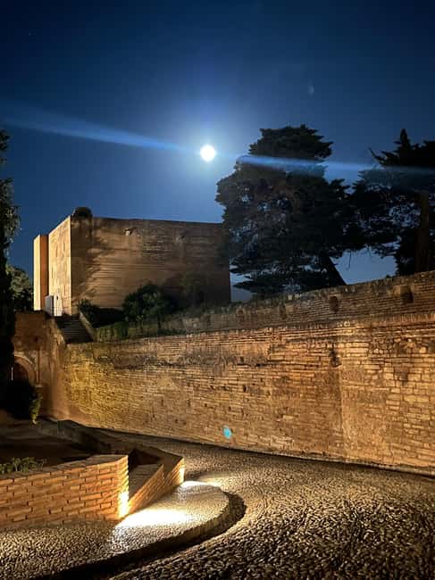 From Almuñécar: Granada Day Trip with Alhambra and Cathedral - Key points before you book