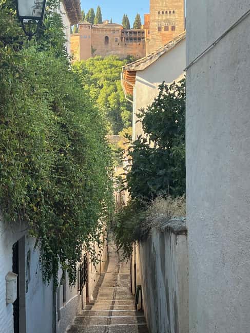 From Almuñécar: Granada Day Trip with Alhambra and Cathedral - The Alhambra and Generalife Gardens