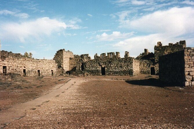 From Amman: Full-Day tour Amman city tour and desert castles - Climbing Amman’s Citadel hill