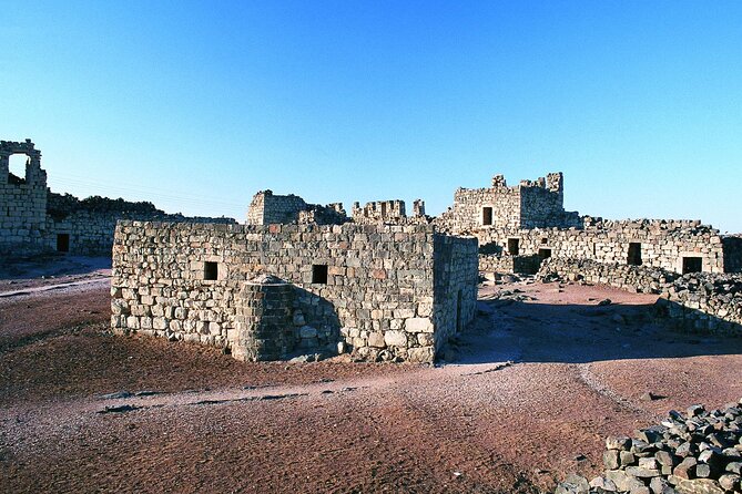 From Amman: Full-Day Tour to Amman City and Desert Castles - See the paintings at Qasr Amra