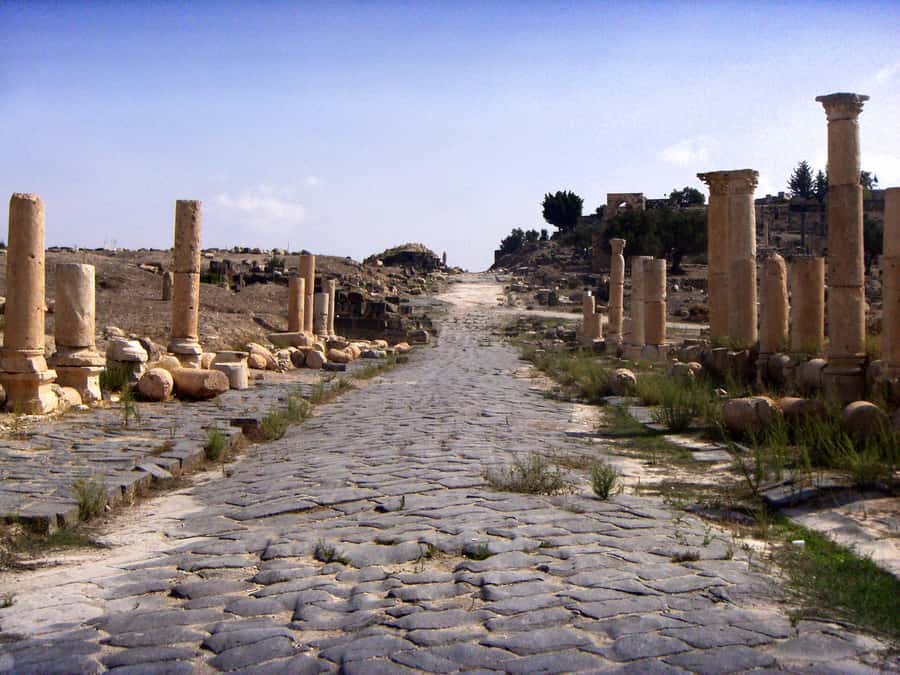 From Amman: Jerash, Ajloun Castle or Umm Qais Private Tour - Why this northern Jordan day trip works