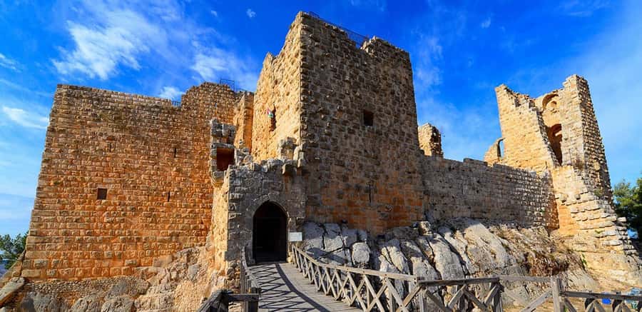 From Amman: Jerash, Ajloun Castle or Umm Qais Private Tour - The driver often shapes the quality of the day