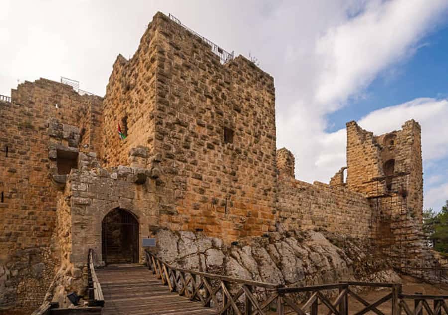 From Amman: Jerash, Ajloun Castle or Umm Qais Private Tour - Jerash: give Jordan’s Roman city the most time