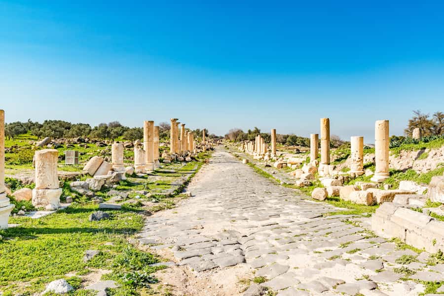 From Amman: Private Jerash, Ajloun Castle, and Umm Qais Tour - Why Jerash deserves the first look