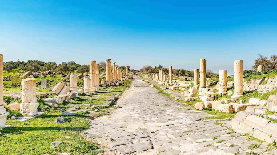 From Amman: Private Jerash, Ajloun Castle, and Umm Qais Tour - What the private car adds to the day
