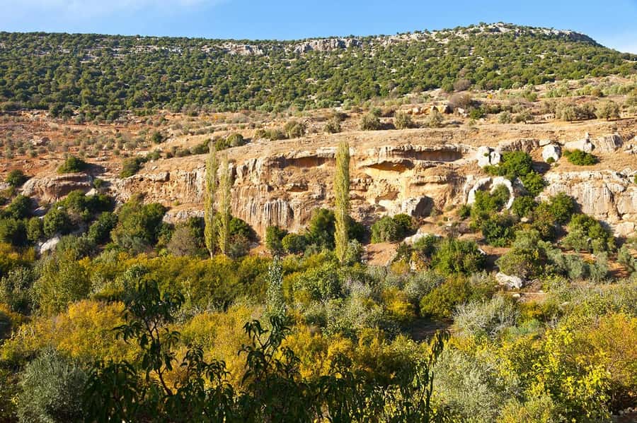 From Amman: Private Jerash, Ajloun Castle, and Umm Qais Tour - How the $57 price works in practice