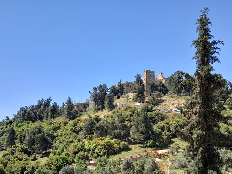 From Amman: Private Jerash, Ajloun Castle, and Umm Qais Tour - Who will get the most from this tour