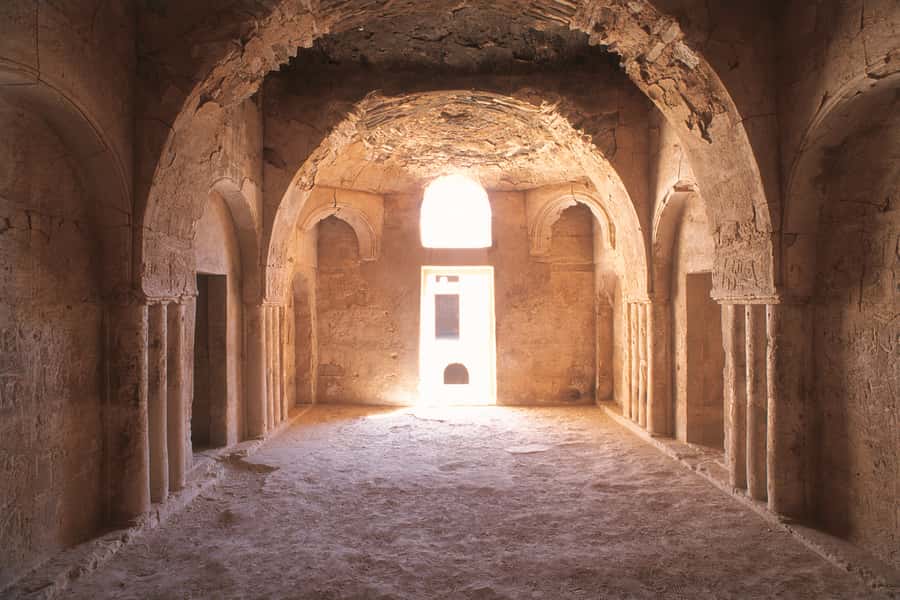 From Amman: Umayyad Desert Castles Tour with Transfer - Is $82 a fair price?
