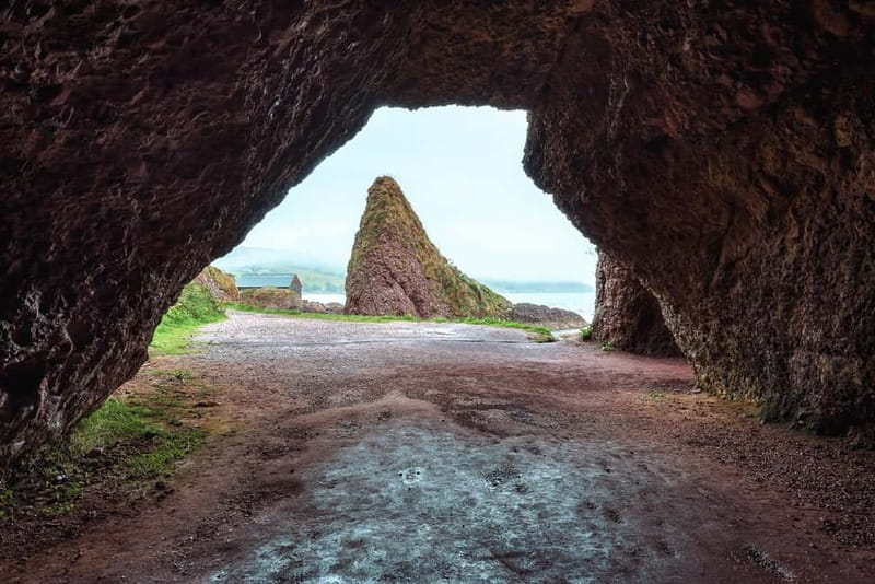 From Belfast: Giant's Causeway Guided Day Tour With Castles - The Dark Hedges and lunch
