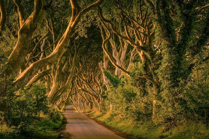 From Belfast-Giants Causeway, Dunluce Castle and Dark Hedges tour - A guide-led day with stories, music, and local color
