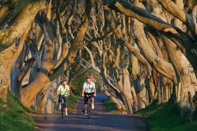 From Belfast-Giants Causeway, Dunluce Castle and Dark Hedges tour - Is $69.45 a fair price?