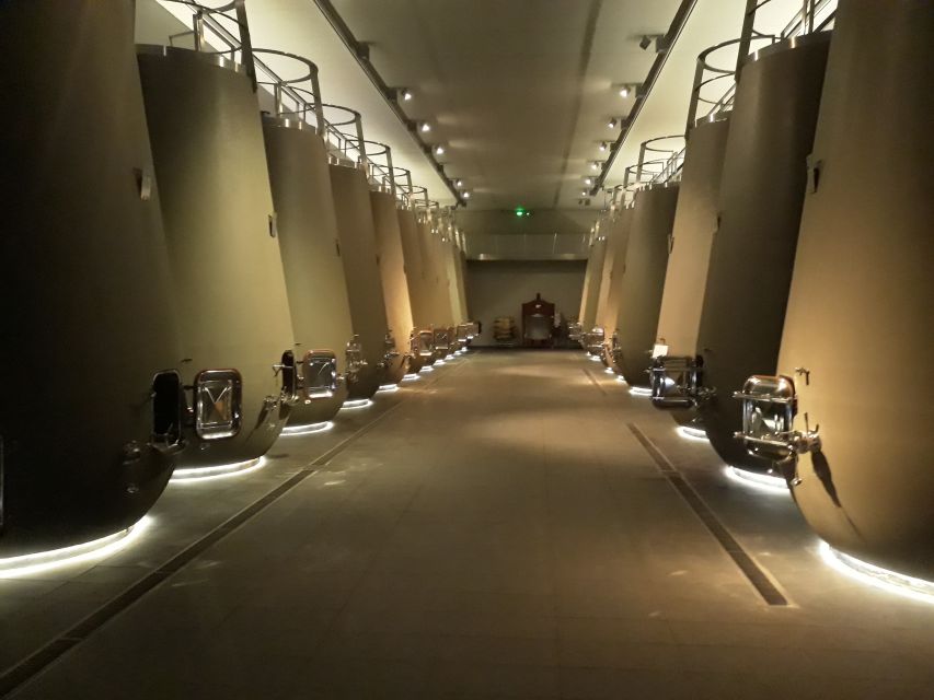 From Bordeaux: Médoc Vineyard and Chateau Tour by Sidecar - Who should book this Médoc experience?