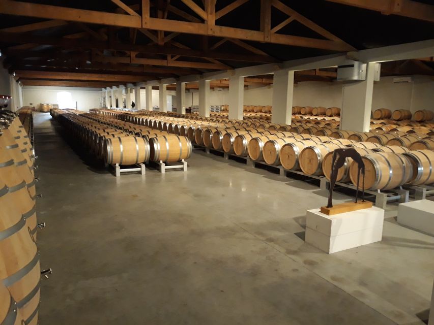 From Bordeaux: Médoc Vineyard and Chateau Tour by Sidecar - Is $235 a fair price?