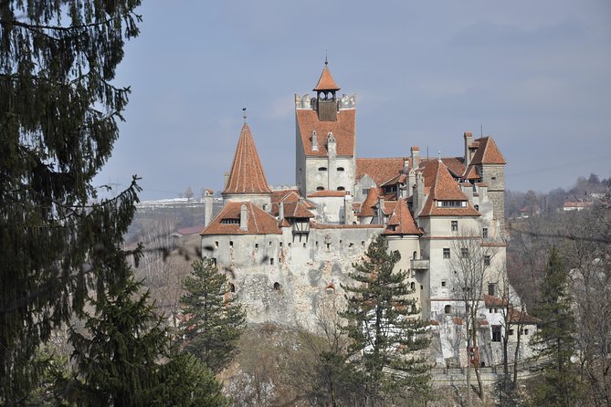 From Brasov: Discover Bran Castle and Râșnov Fortress - What this Brașov half-day tour is really like