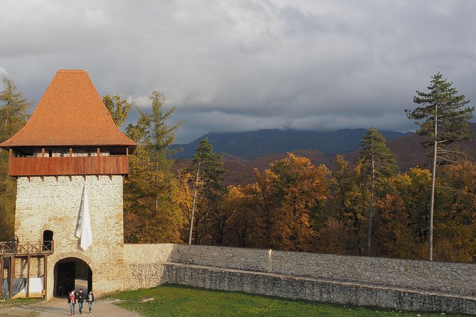 From Brasov: Discover Bran Castle and Râșnov Fortress - Who will enjoy this outing most?