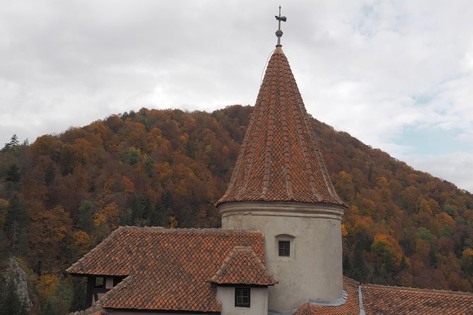 From Brasov: Discover Bran Castle and Râșnov Fortress - Food, shopping, and the road around Bran