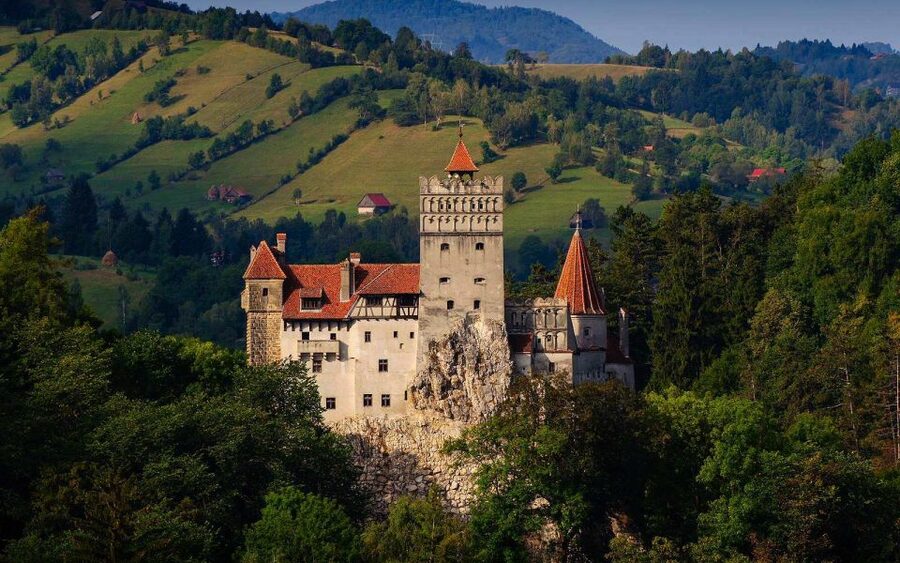 From Brașov: Romanian Castle Tour with Bran and Peles - The guide makes the difference