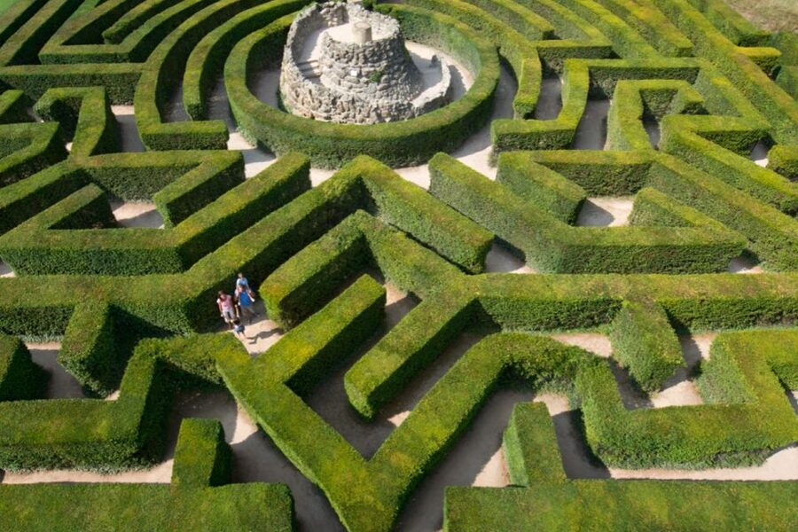 From Brighton: Leeds Castle & Canterbury Full-Day Trip - Should you book this Leeds Castle and Canterbury trip?