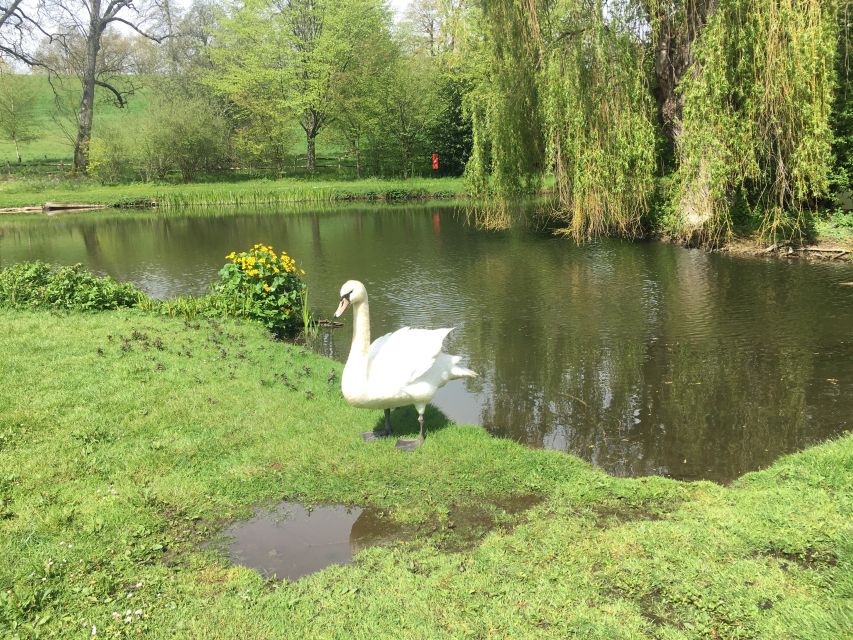 From Brighton: Leeds Castle & Canterbury Full-Day Trip - A practical look at the $93 value