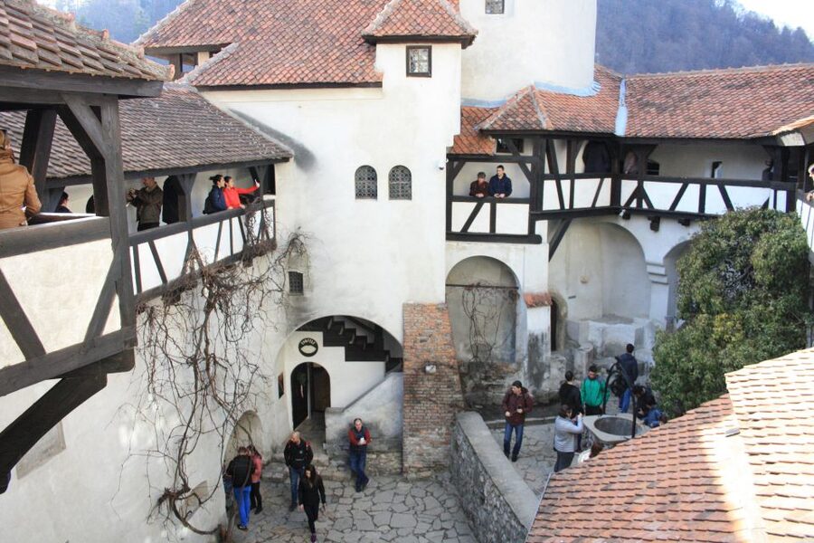 From Bucharest: Bear Sanctuary and Dracula Castle Day Tour - Who should book this day trip?