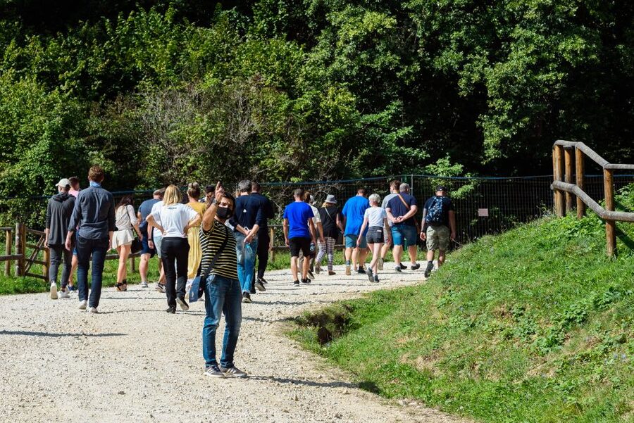 From Bucharest: Bear Sanctuary and Dracula Castle Day Tour - Leaving Bucharest for the Carpathian foothills