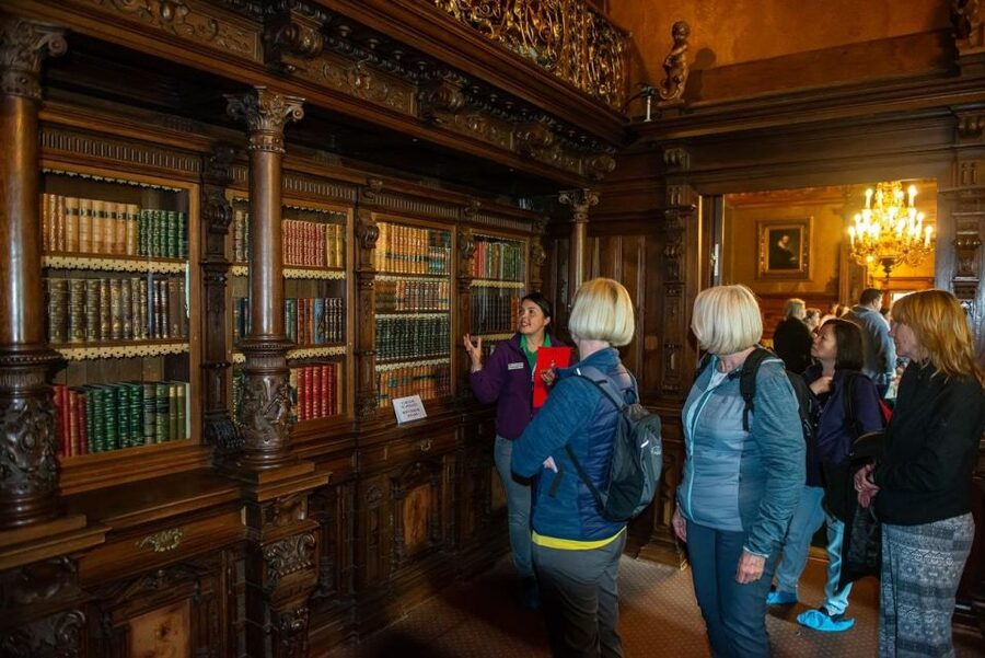 From Bucharest: Brasov Peles & Dracula's Castle Day Tour - Who should book this tour