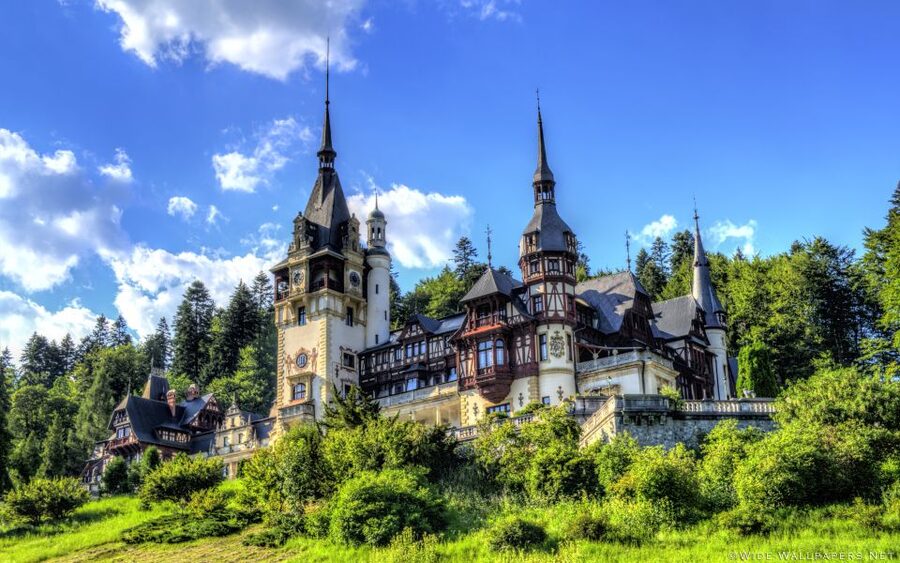 From Bucharest: Day Trip to Dracula and Peles Castle - What the guides add to the day