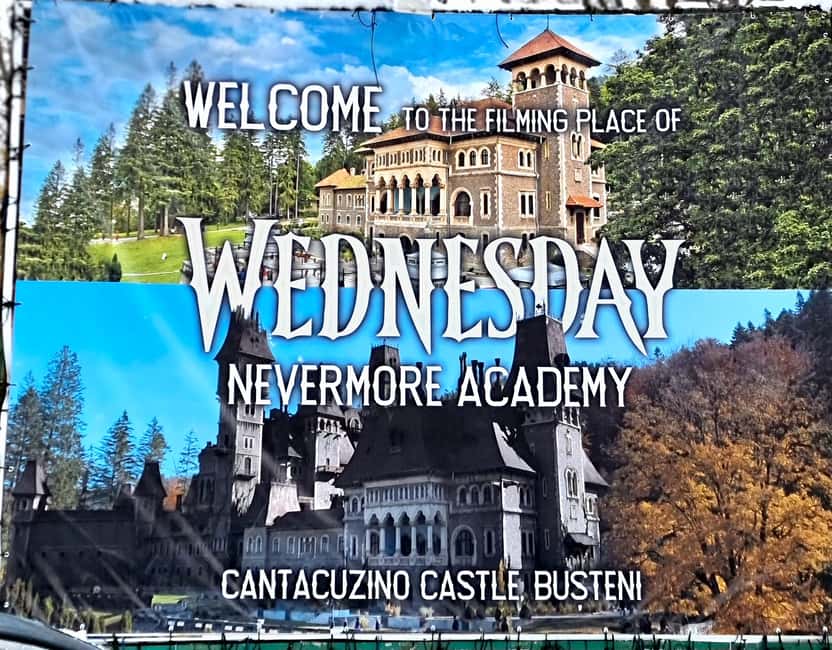 From Bucharest: Dracula, Wednesday, and Peles Castles Tour - Who will enjoy this tour most?