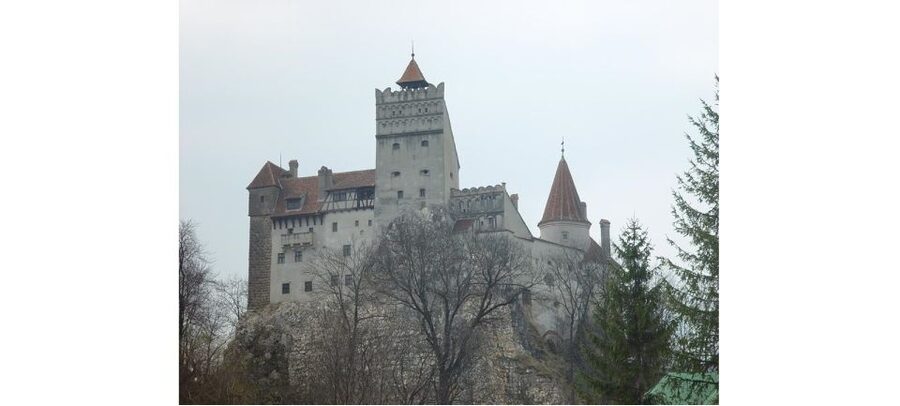 From Bucharest: Full-Day Private Dracula Tour - Who should book this experience?