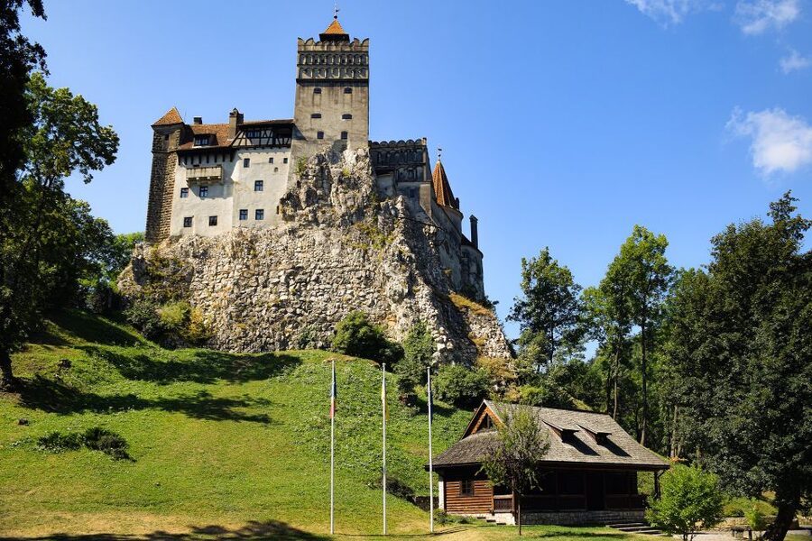 From Bucharest: Libearty Bear Sanctuary and Dracula's Castle - Why the bear sanctuary deserves first place