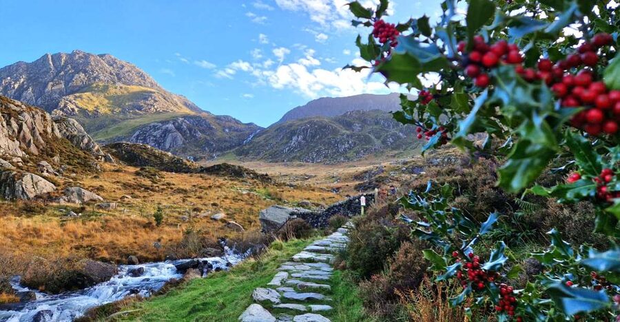 From Chester: North Wales and Caernarfon Castle Tour - Why this North Wales route works in one long day