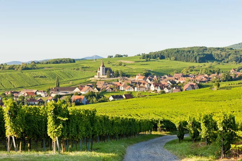 From Colmar: Haut-Koenigsbourg Castle and Villages Day Tour - Why this makes sense from Colmar